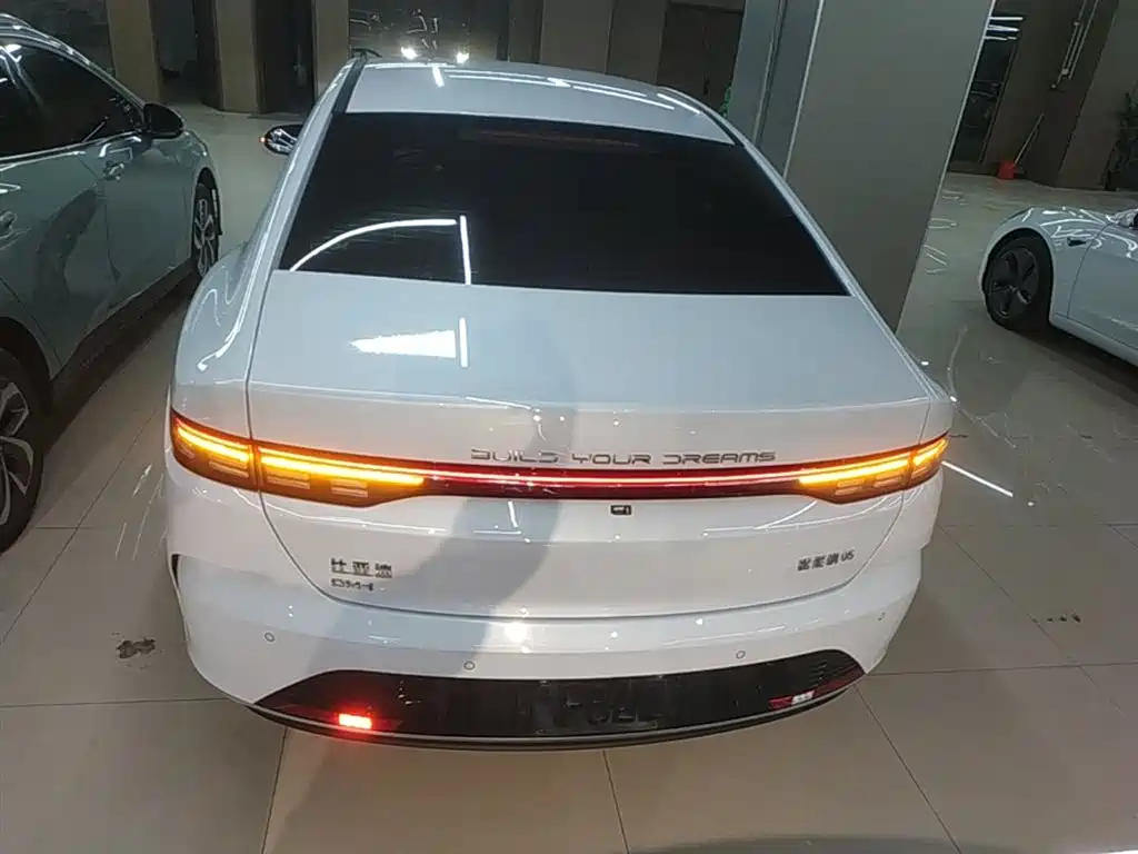 BYD Destroyer 05 2024 Glory Edition DM-i 55KM Luxury фото 6