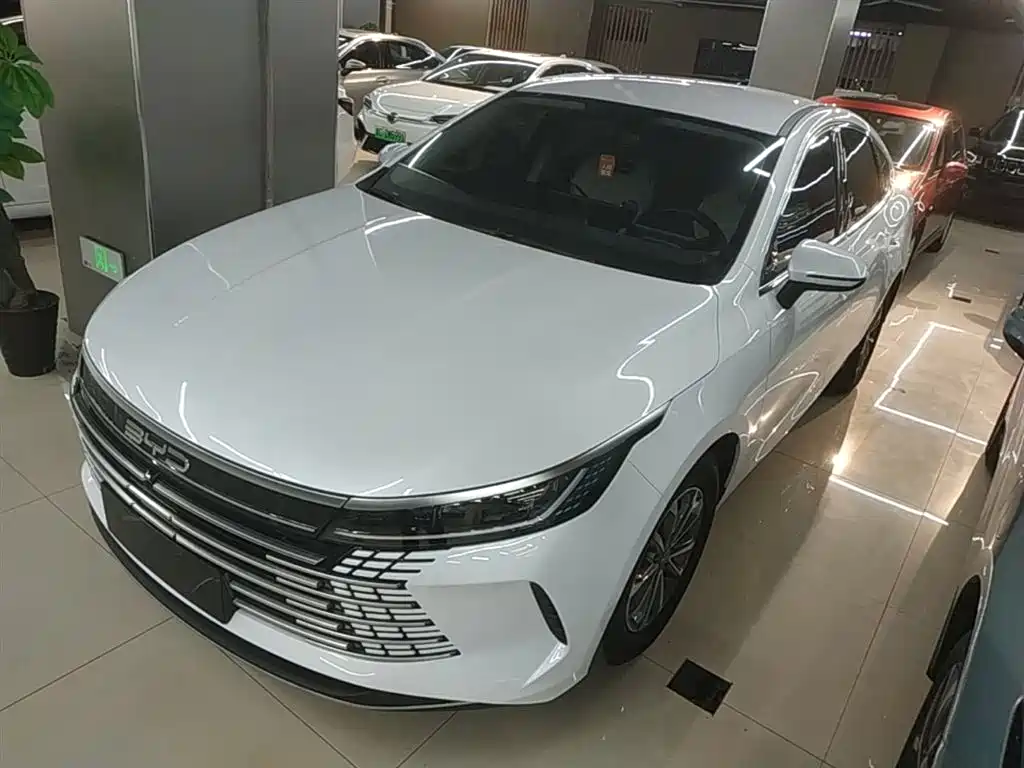 BYD Destroyer 05 2024 Glory Edition DM-i 55KM Luxury