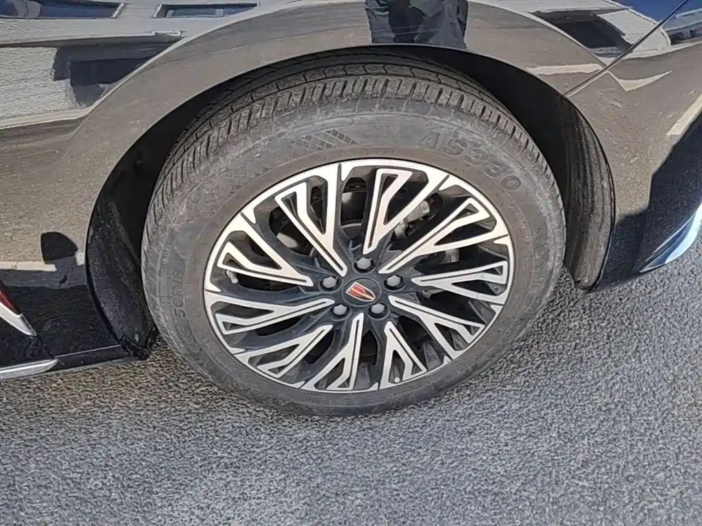 Hongqi H5 2023 2.0T Auto Smart Connect Flag Comfort фото 14