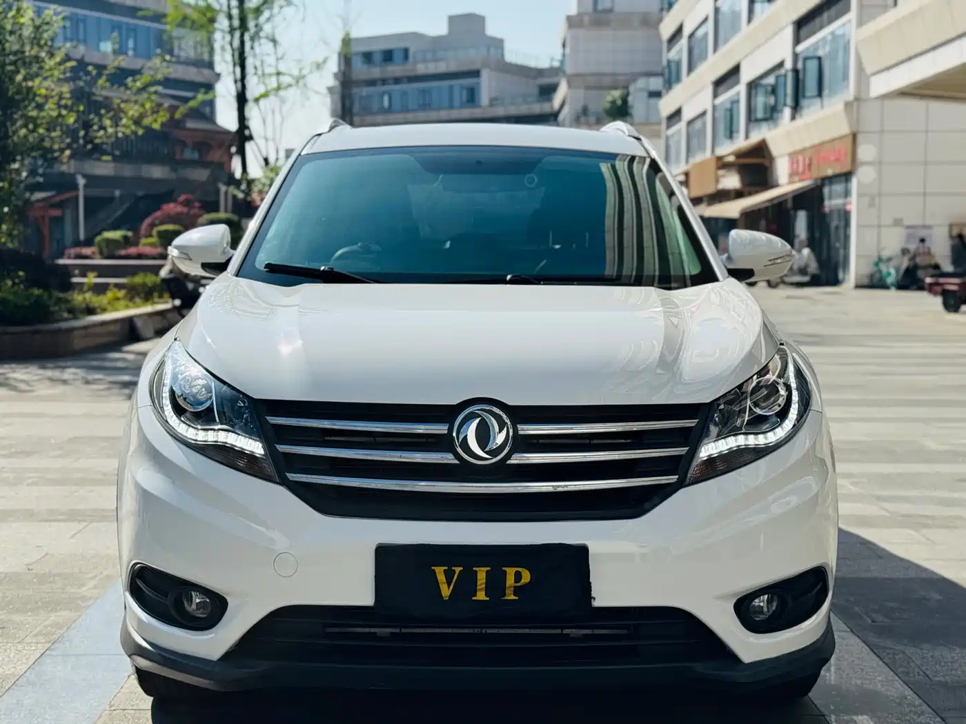 DONGFENG SCENERY 580