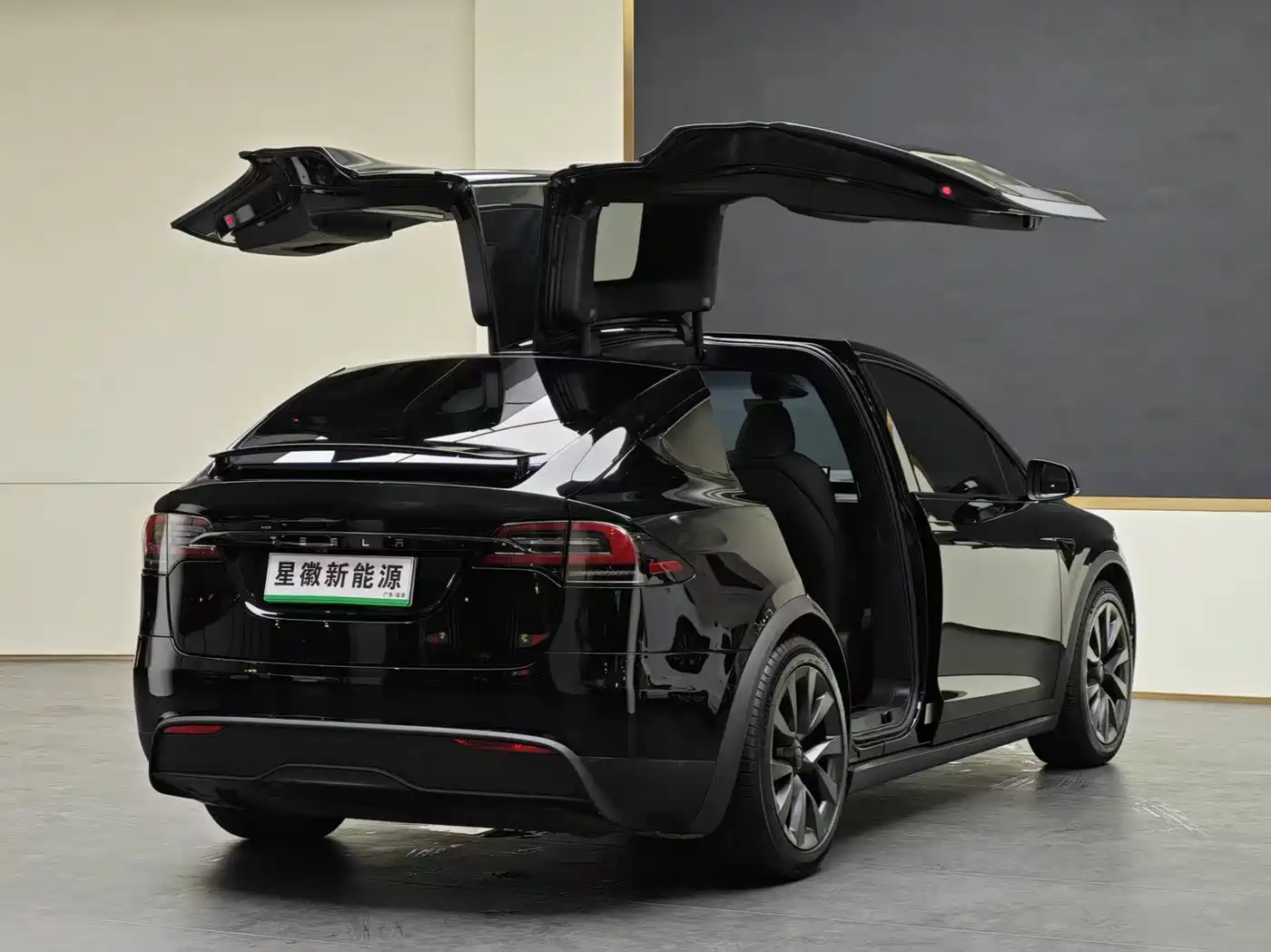 Tesla Model X 2023 Dual Motor All-Wheel Drive Edition фото 16