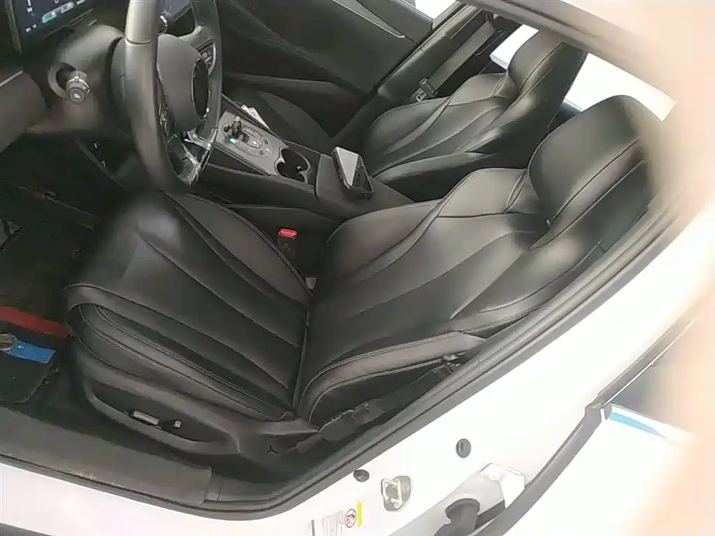 BYD Seal 06 New Energy 2024 DM-i 120KM Premium фото 15