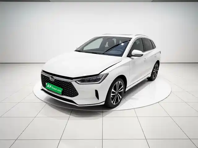 BYD e2 2021