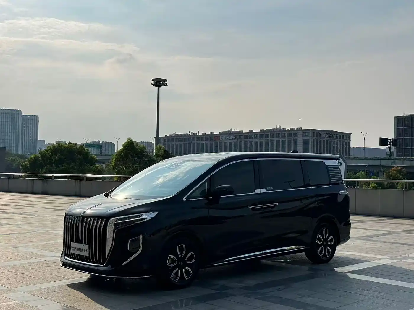 Hongqi HQ9 2023 2023 2.0T Smart Connect Flag Smooth Edition