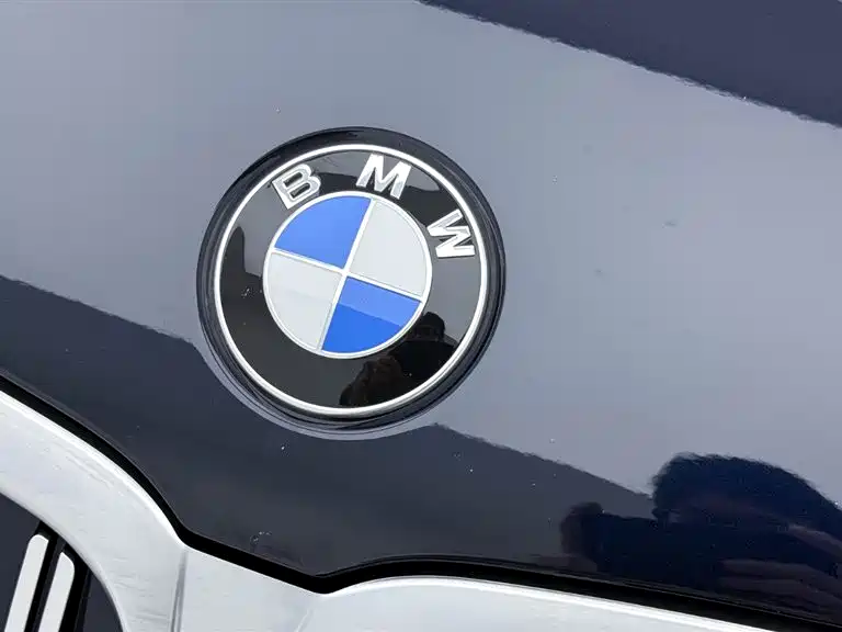 BMW 3 Series 2023 320Li M Sport Package фото 12