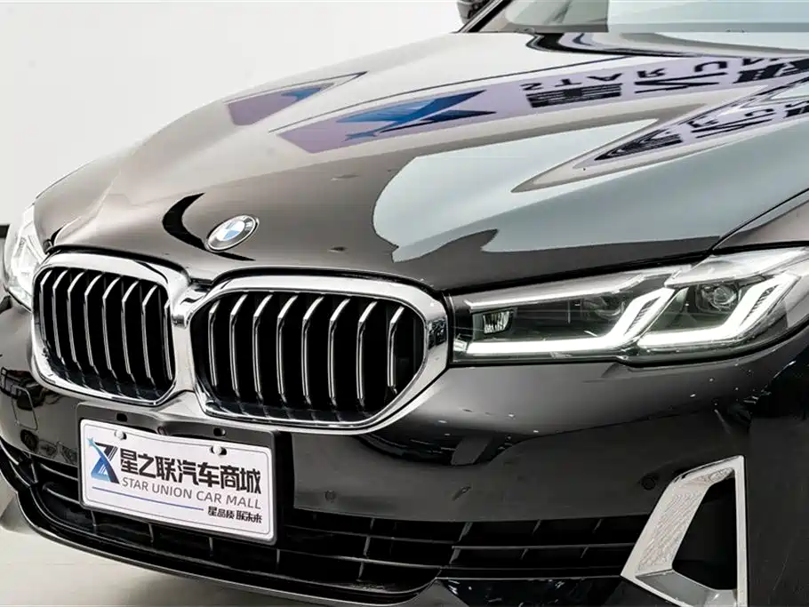 BMW 5 Series 2021 Facelift 530Li Leading Luxury Package фото 4