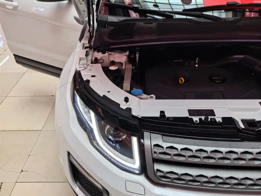 Land Rover Range Rover Evoque 2018 240PS PURE Trend фото 21