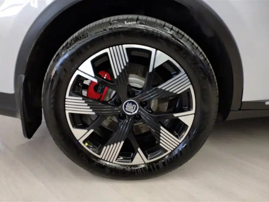 BYD Tang New Energy 2024 DM-p Glory Edition 215KM AWD Flagship фото 6