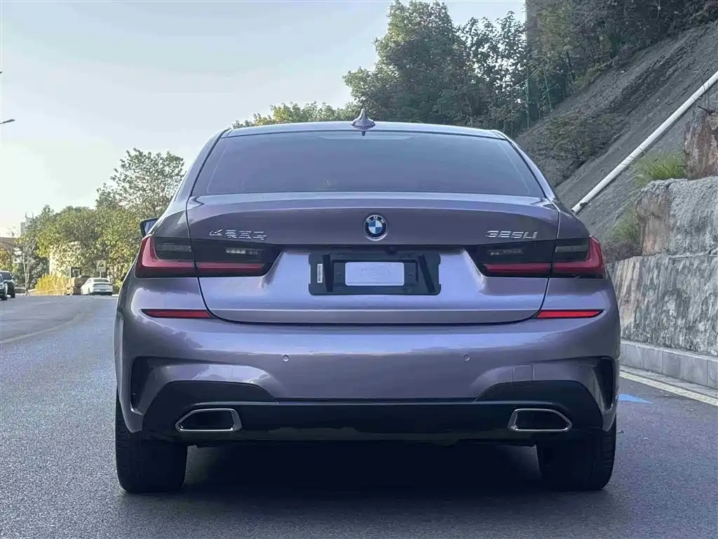 BMW 3 Series 2020 325Li M Sport Black Night Package фото 5