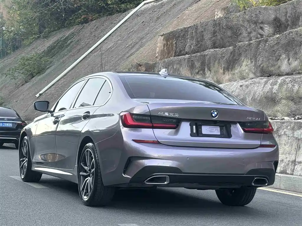 BMW 3 Series 2020 325Li M Sport Black Night Package фото 6