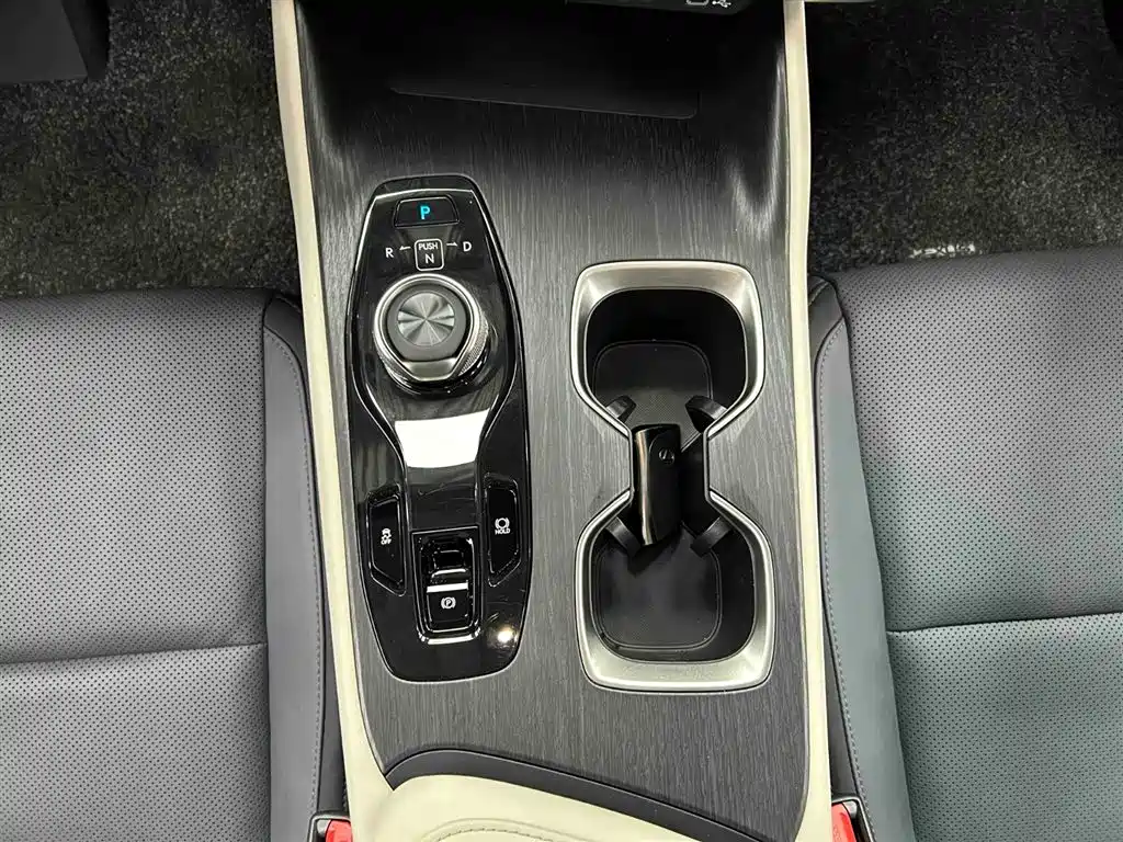 Lexus RZ 2023 450e 4WD Deluxe фото 5