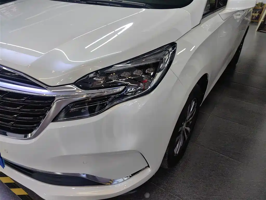 Buick GL8 2021 ES Landlord 653T Premium фото 20