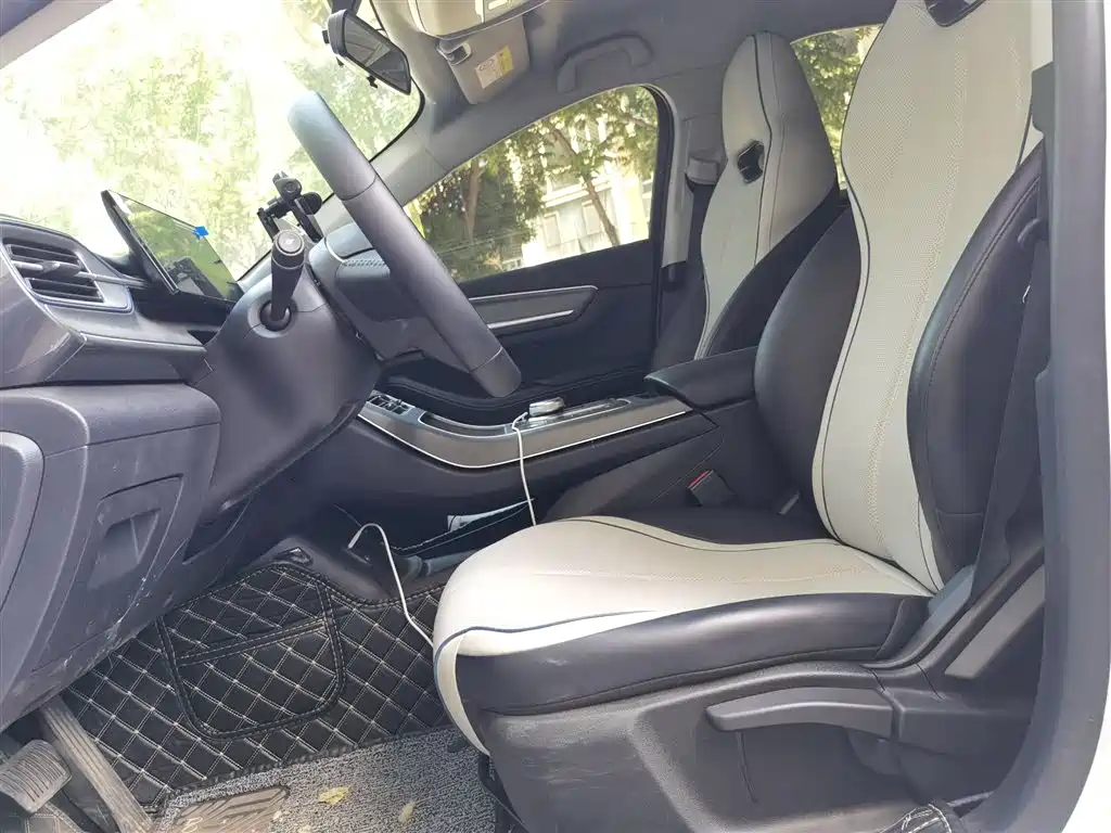 BYD Destroyer 05 2024 Glory Edition DM-i 55KM Luxury фото 11