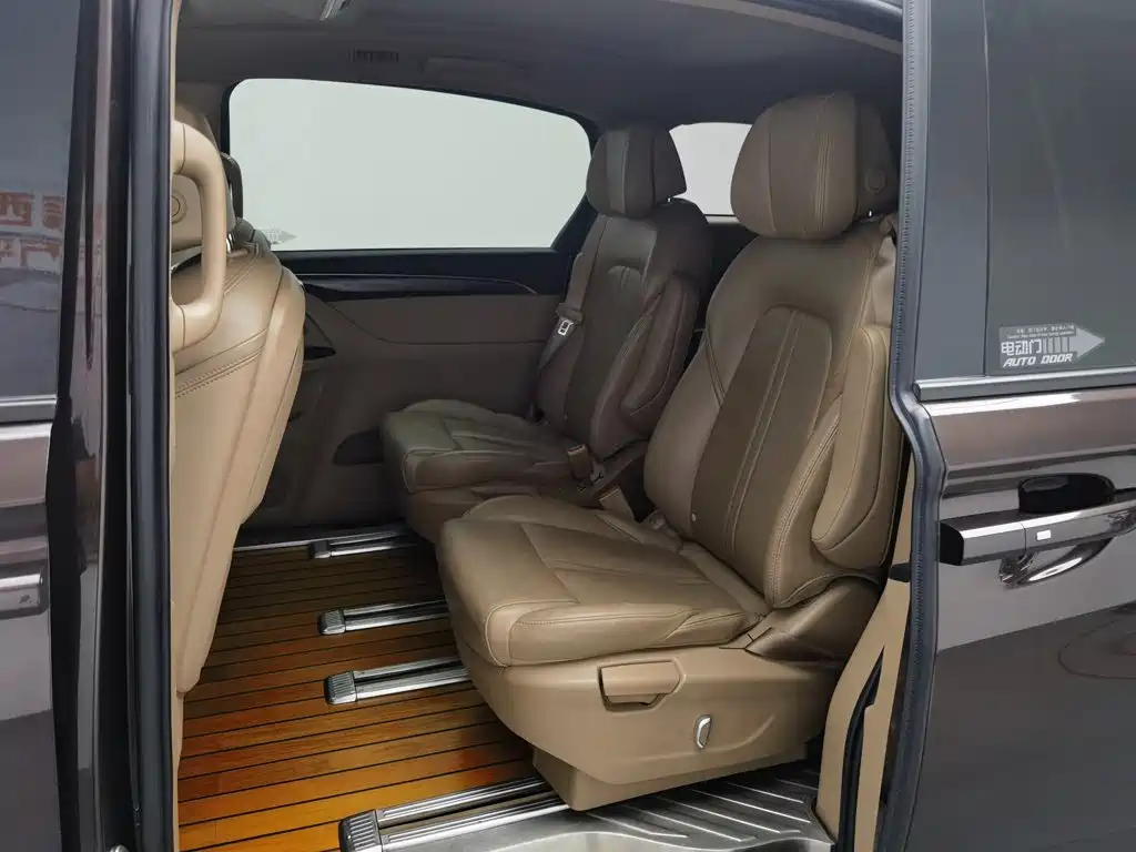 Buick GL8, миниатюра 15