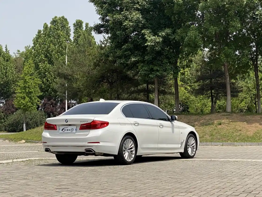 BMW 5 Series 2018 Facelift 530Li Leading Luxury Package фото 17
