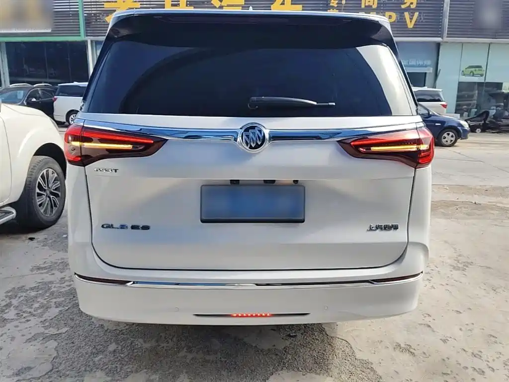 Buick GL8 2023 ES Landmaster Exclusive фото 6