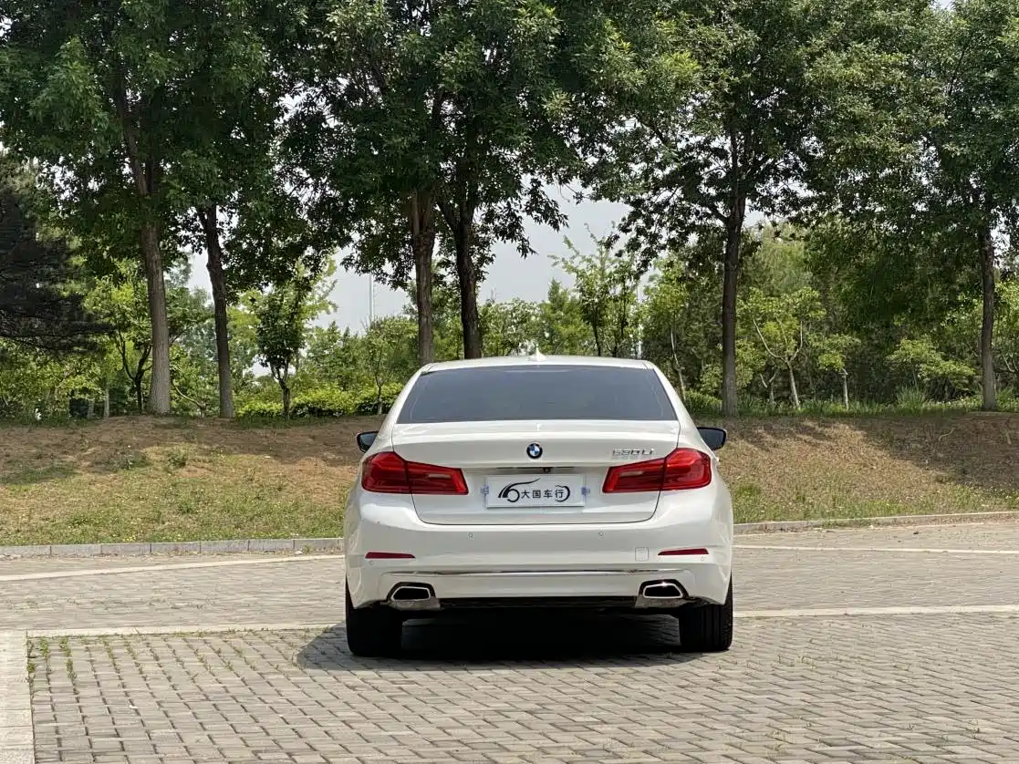 BMW 5 Series 2018 Facelift 530Li Leading Luxury Package фото 18