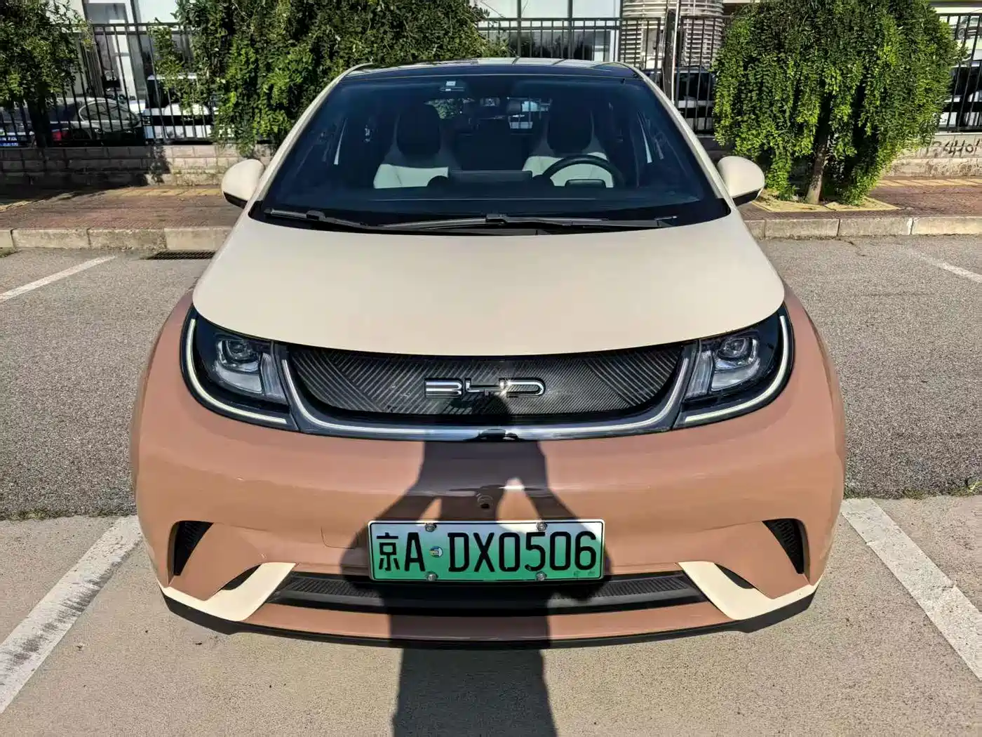 BYD Dolphin 2021 2021 Model 405km Fashion Edition