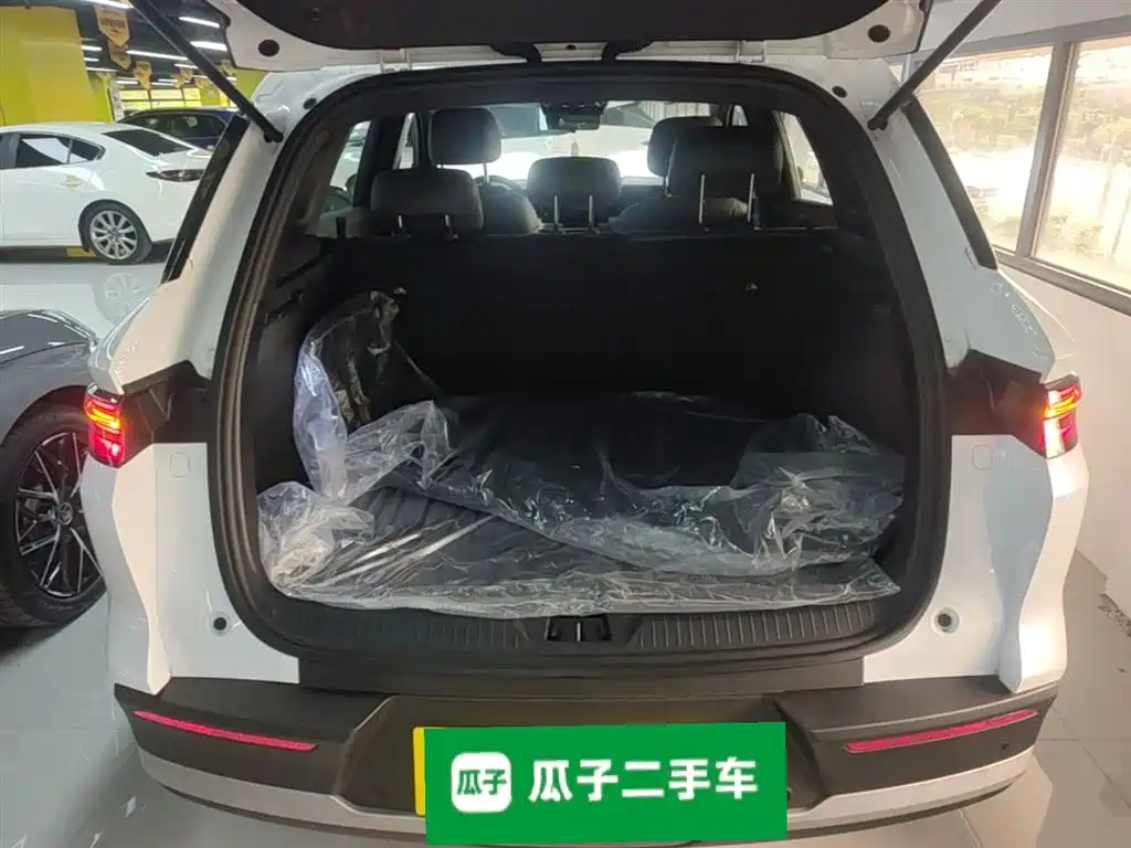 BYD SONGJIANG NEW ENERGY