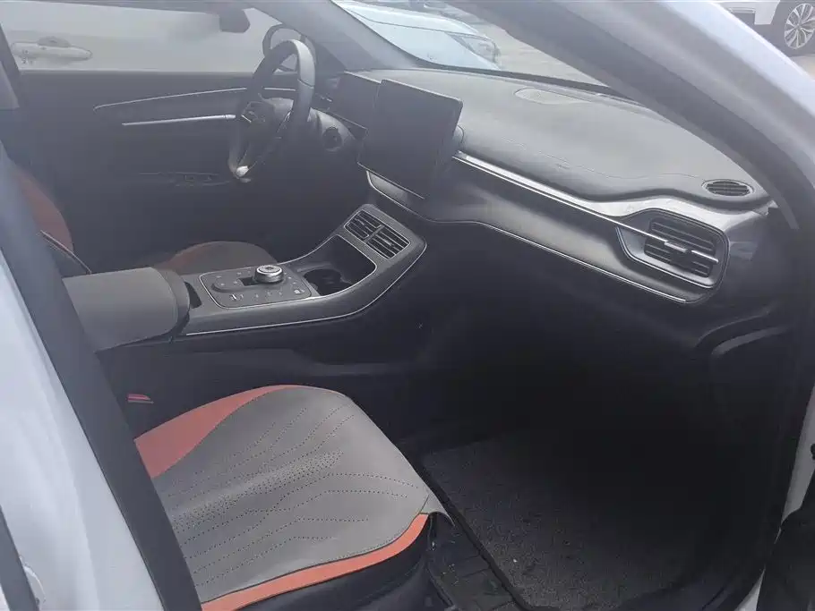 BYD Destroyer 05 2024 Glory Edition DM-i 55KM Luxury фото 8