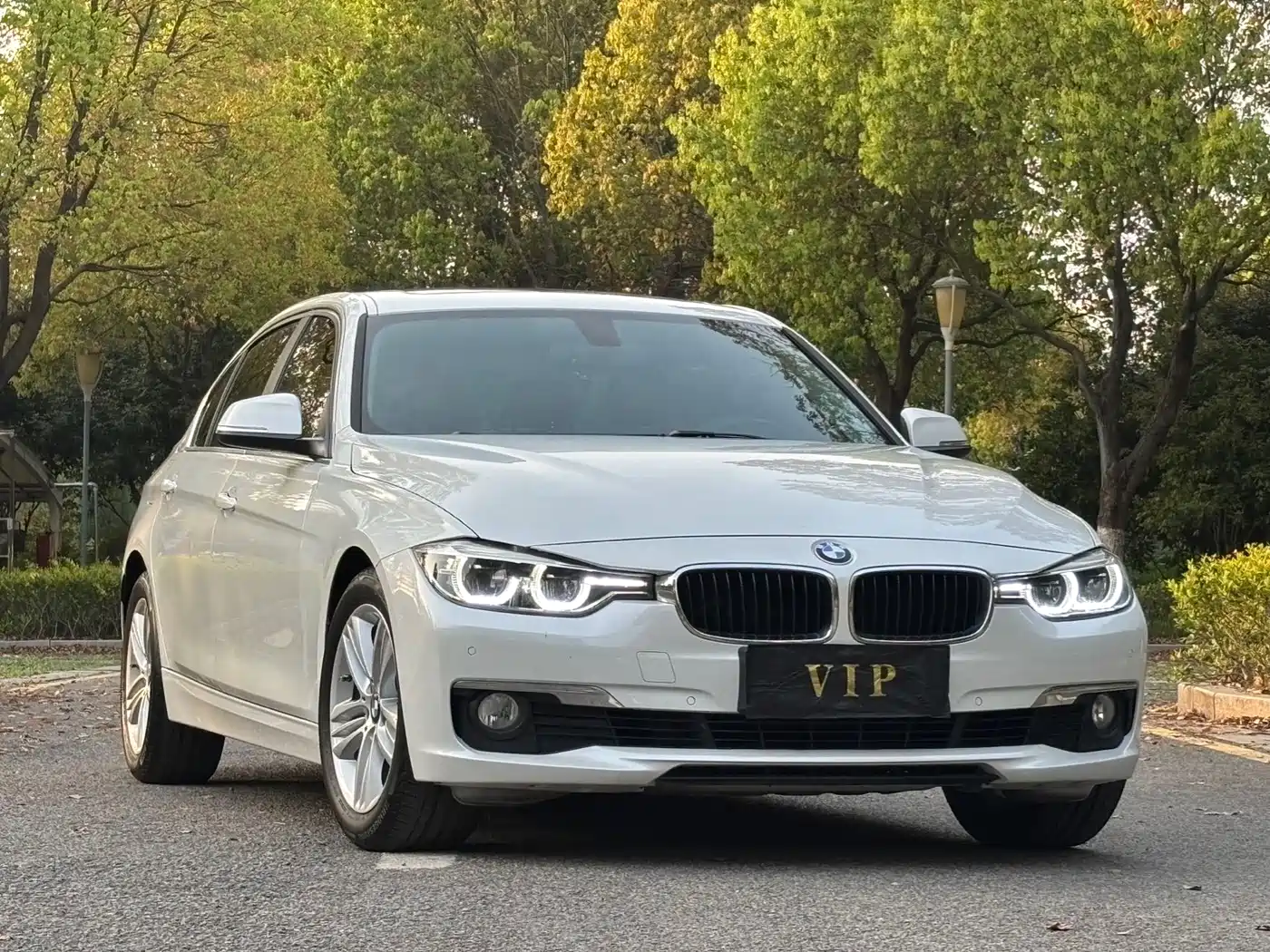 BMW 3 Series 2017 320Li Fashion фото 3