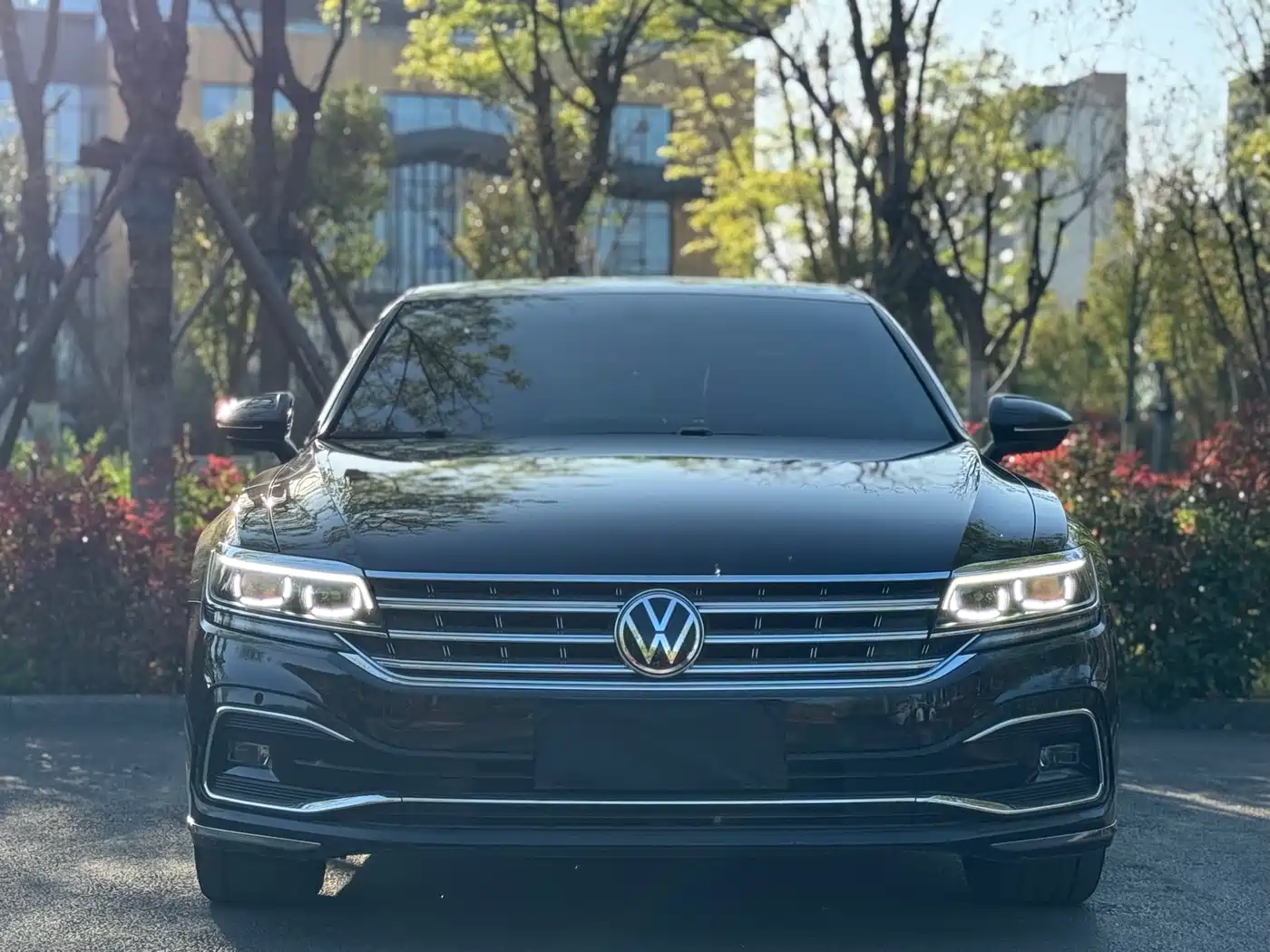 Volkswagen Phideon 2021 380TSI Luxury Edition фото 2