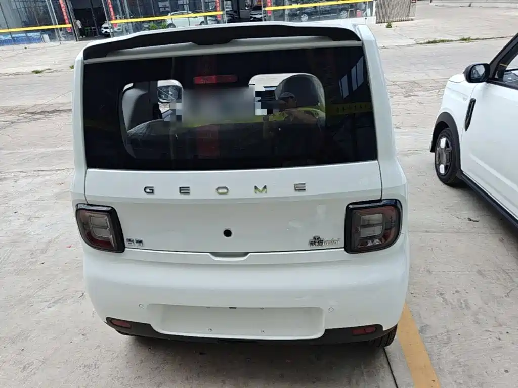 Geely Galaxy Panda 2026 2025 Panda mini 210km Vitality Bear