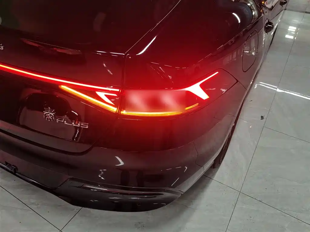 BYD Qin PLUS 2023 Champion Edition DM-i 55KM Leading фото 24