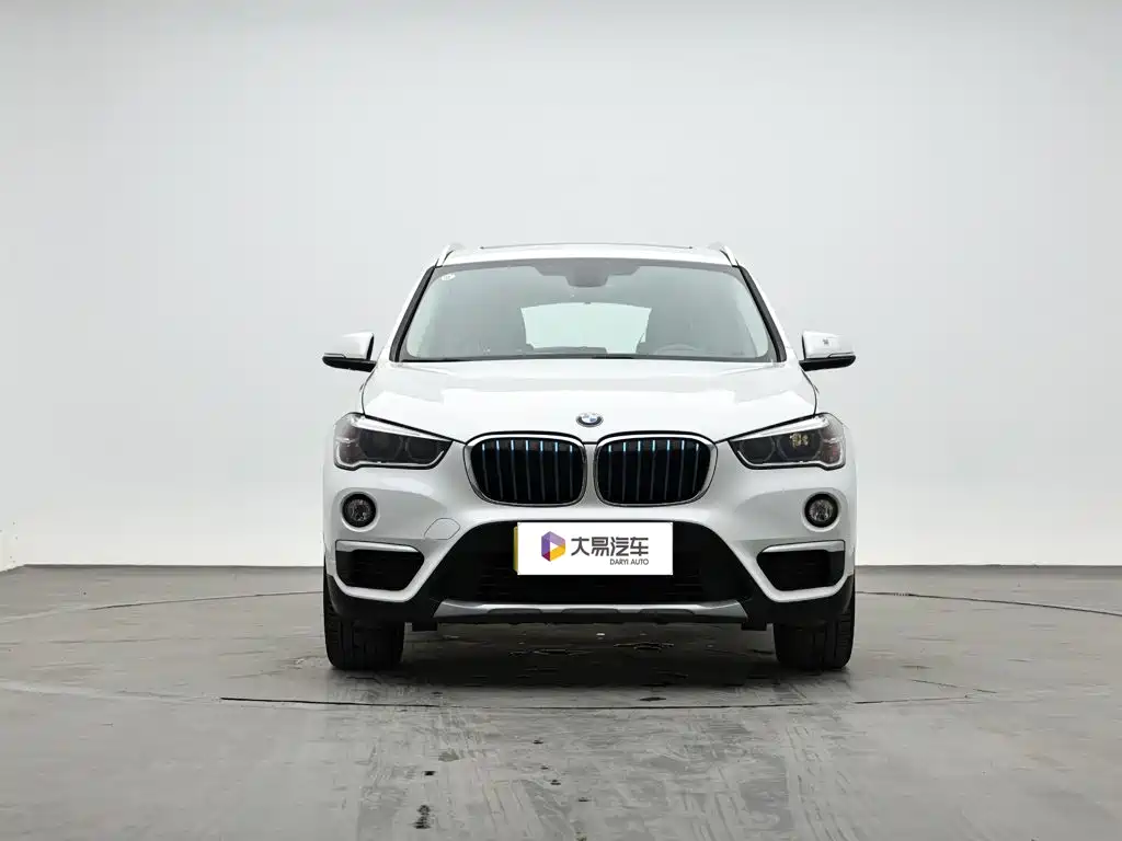 BMW X1 New Energy 2018 2018 xDrive25Le Luxury Model
