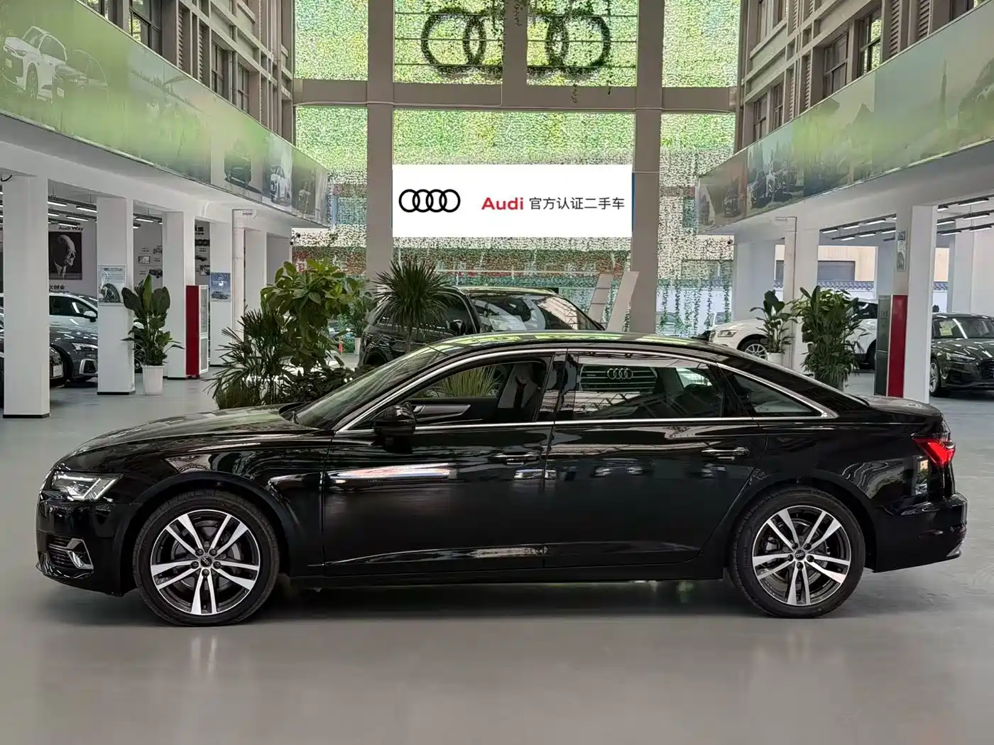 Audi A6L 2023 40 TFSI Luxury Dynamic фото 3