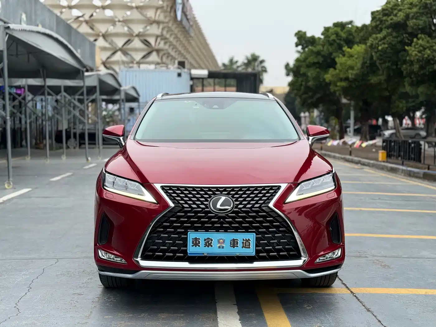 Lexus RX 2020 300 4WD Elegance Edition China VI фото 2