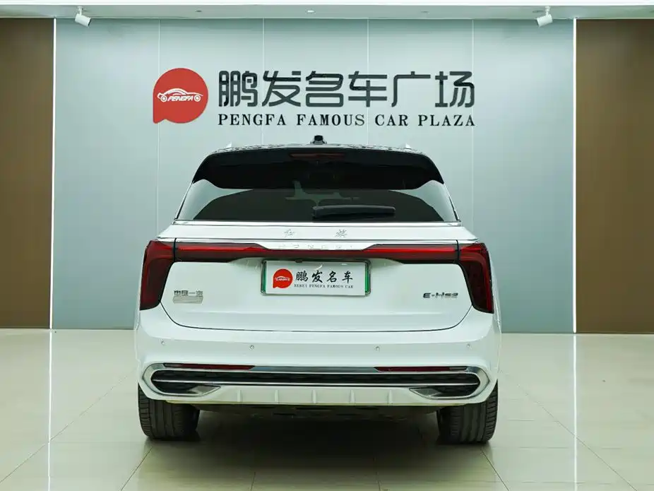 Hongqi E-HS9 2022 660km Qi Chang Edition (6-seater) фото 19