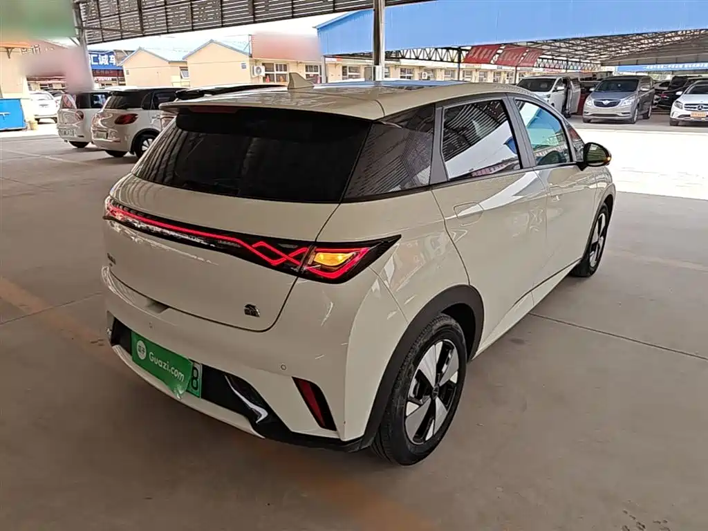 BYD Dolphin 2023 420km Fashion Edition фото 7