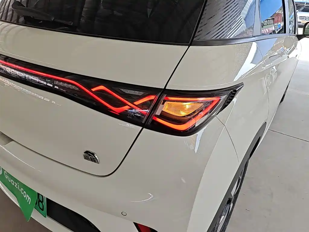 BYD Dolphin 2023 420km Fashion Edition фото 8