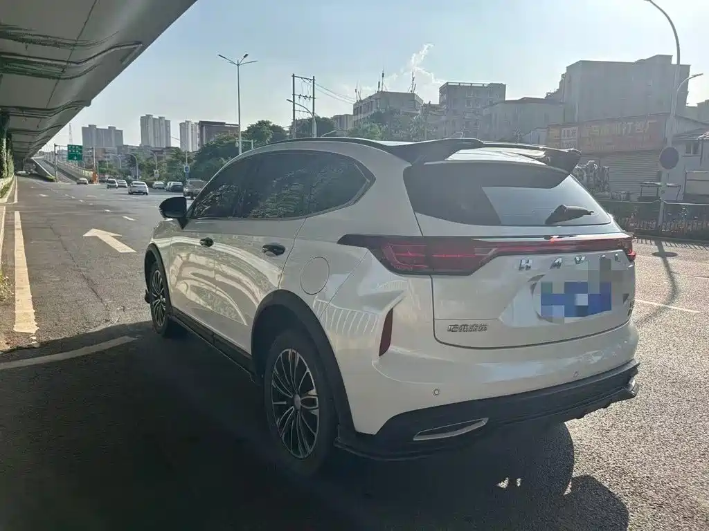 Haval Chitu 2023 2023 1.5T Dynamic