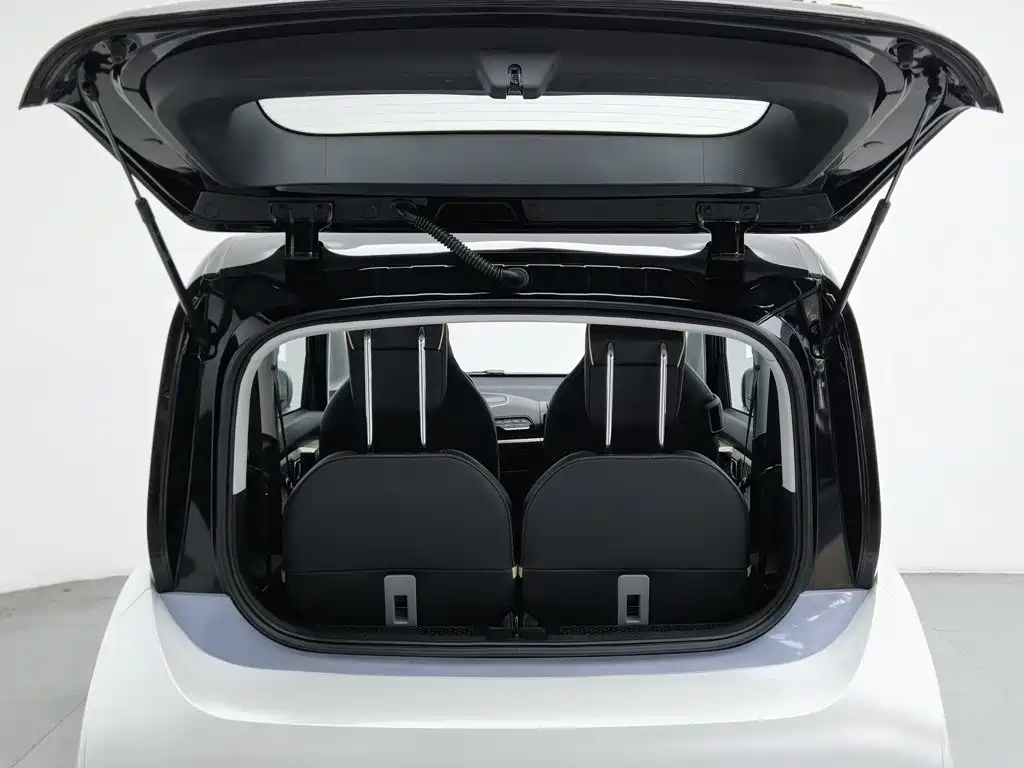 Baojun KiWi EV 2021 2021 Artist LFP