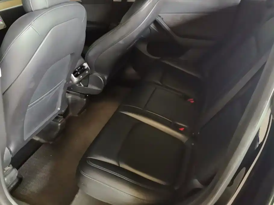 Tesla Model Y 2021 2021 Standard Range Rear-Wheel Drive