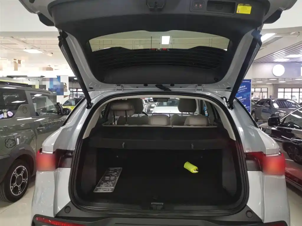 BYD Yuan PLUS 2025 Smart Drive 510KM Surpass Edition фото 12