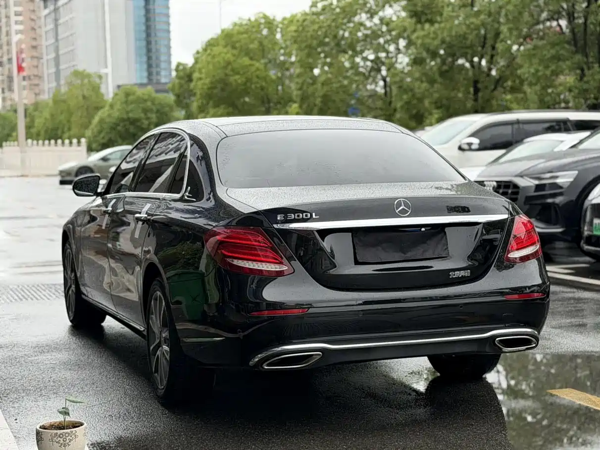Mercedes-Benz E-Class 2019 Facelift E 300 L Fashion фото 14