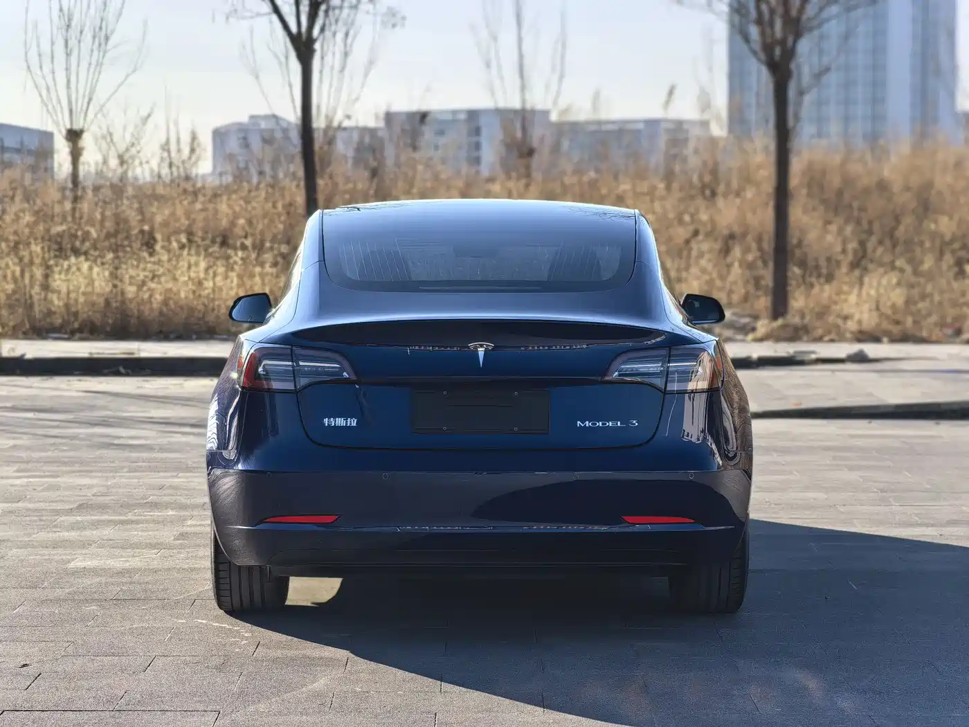 TESLA MODEL 3