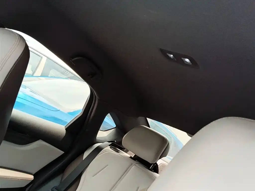 BYD Qin PLUS 2024 Glory Edition DM-i 55KM Leading фото 18