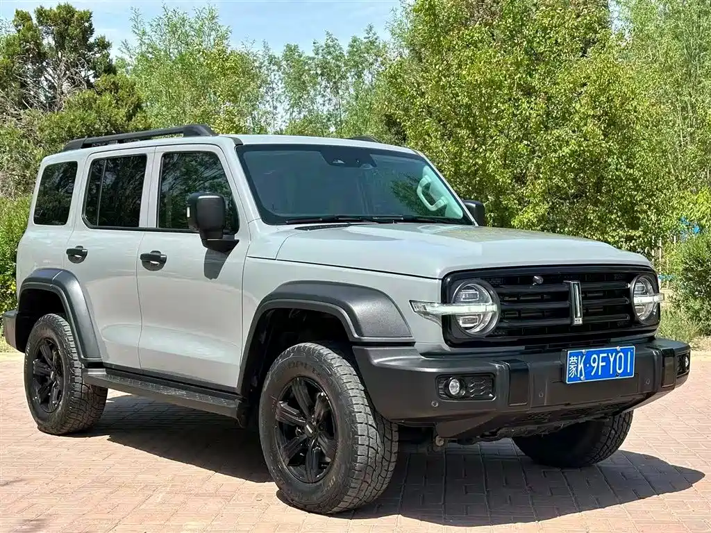 Tank 300 2021 Off-road Version 2.0T Conqueror фото 3