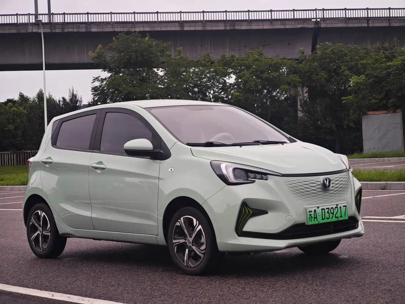 Changan Benben E-Star 2022 2022 Appreciation Edition Colorful LFP
