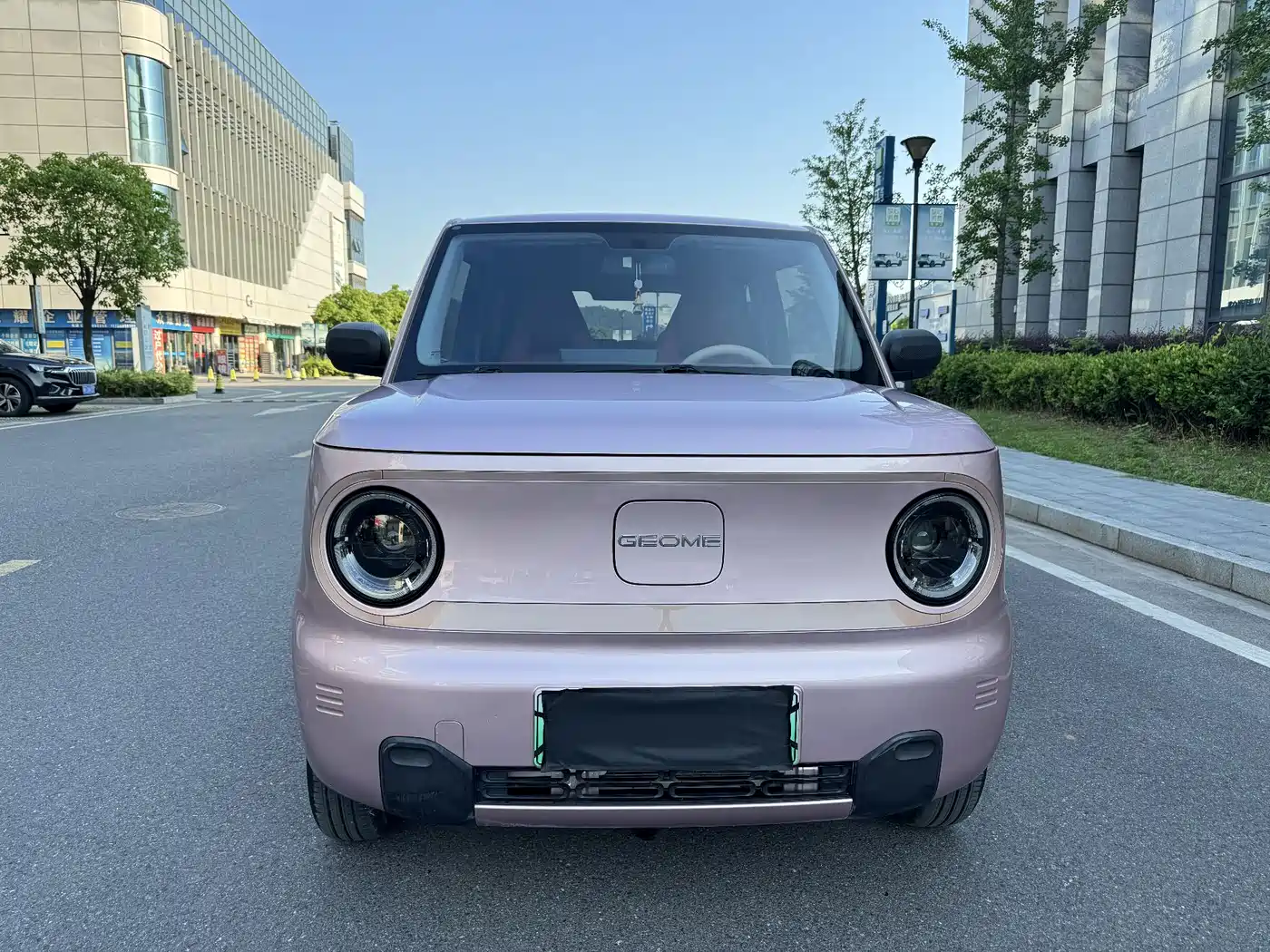 Geely Galaxy Panda 2023 Panda Mini 200km Endurance Bear фото 2