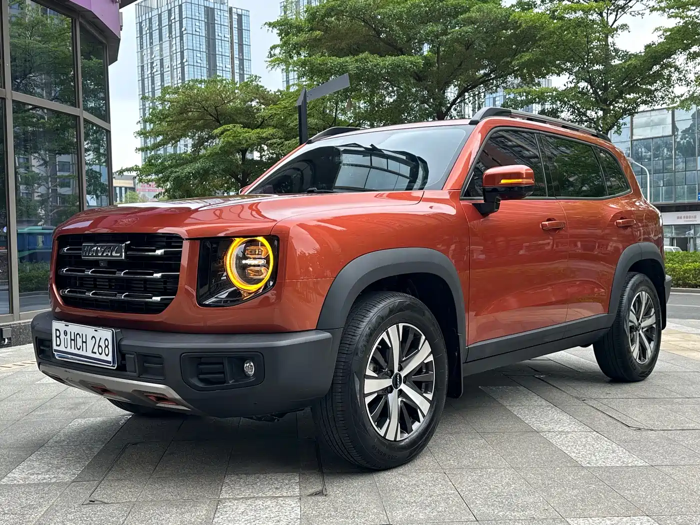 Haval Big Dog 2021 1.5T DCT 2WD Border Collie Edition