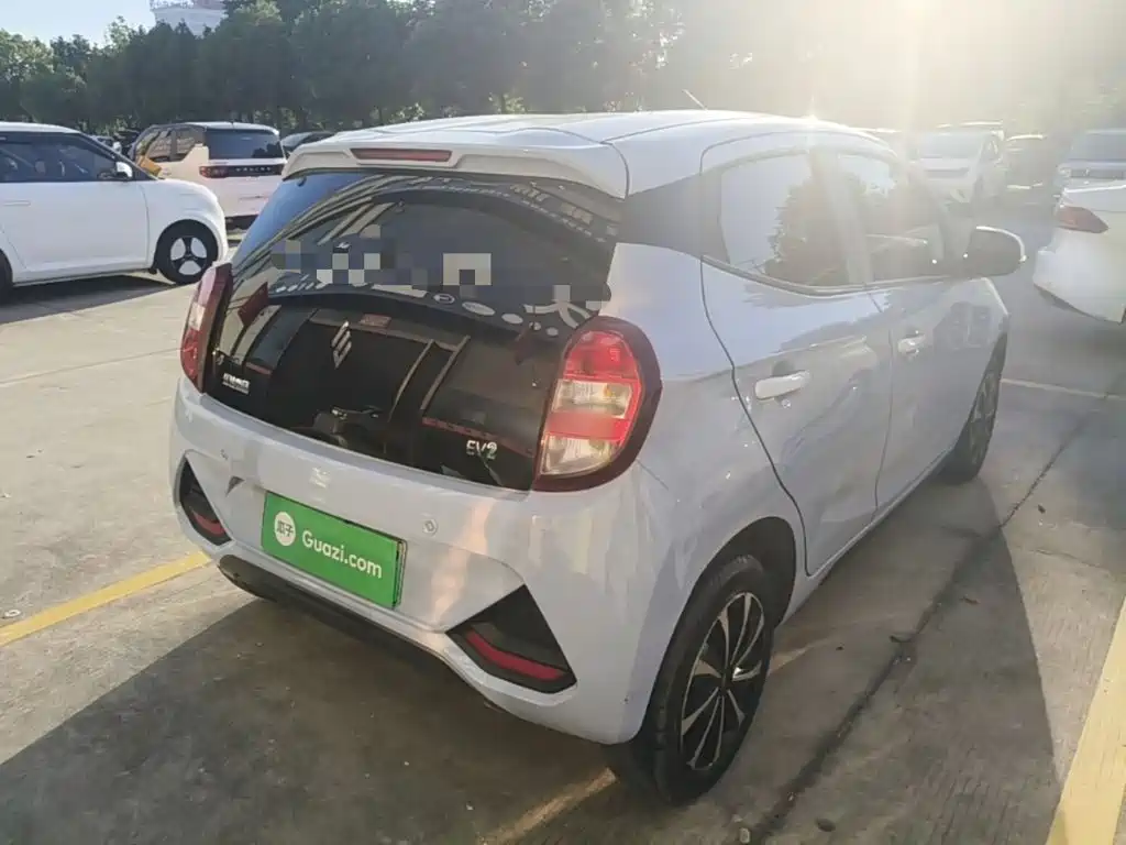 JMCG New Energy Little Kirin 2025 2024 201km Comfort Model