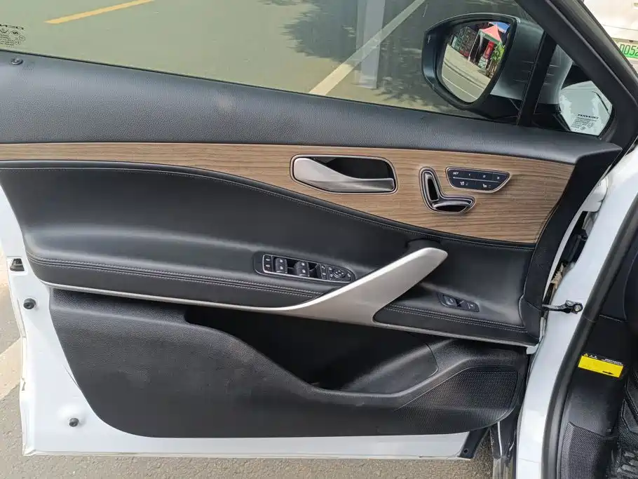 Denza X 2021 2020 Model PHEV Flagship Edition