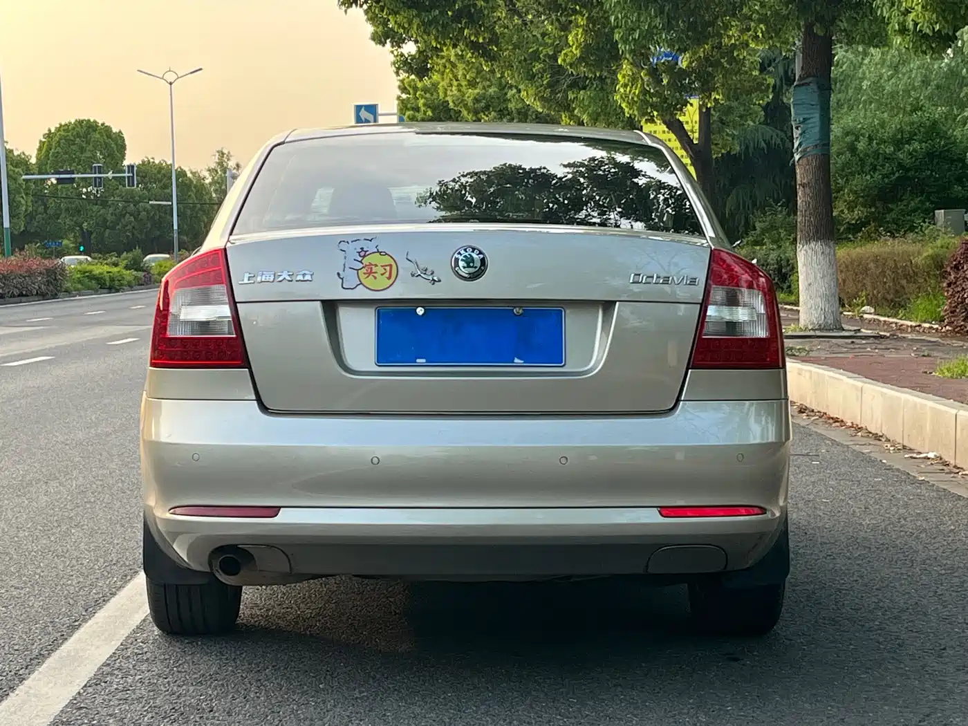 Škoda Octavia 2013 1.6L Automatic Leisure Edition фото 6