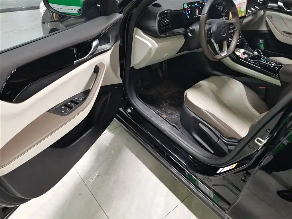 BYD Qin PLUS 2023 Champion Edition DM-i 55KM Leading фото 12
