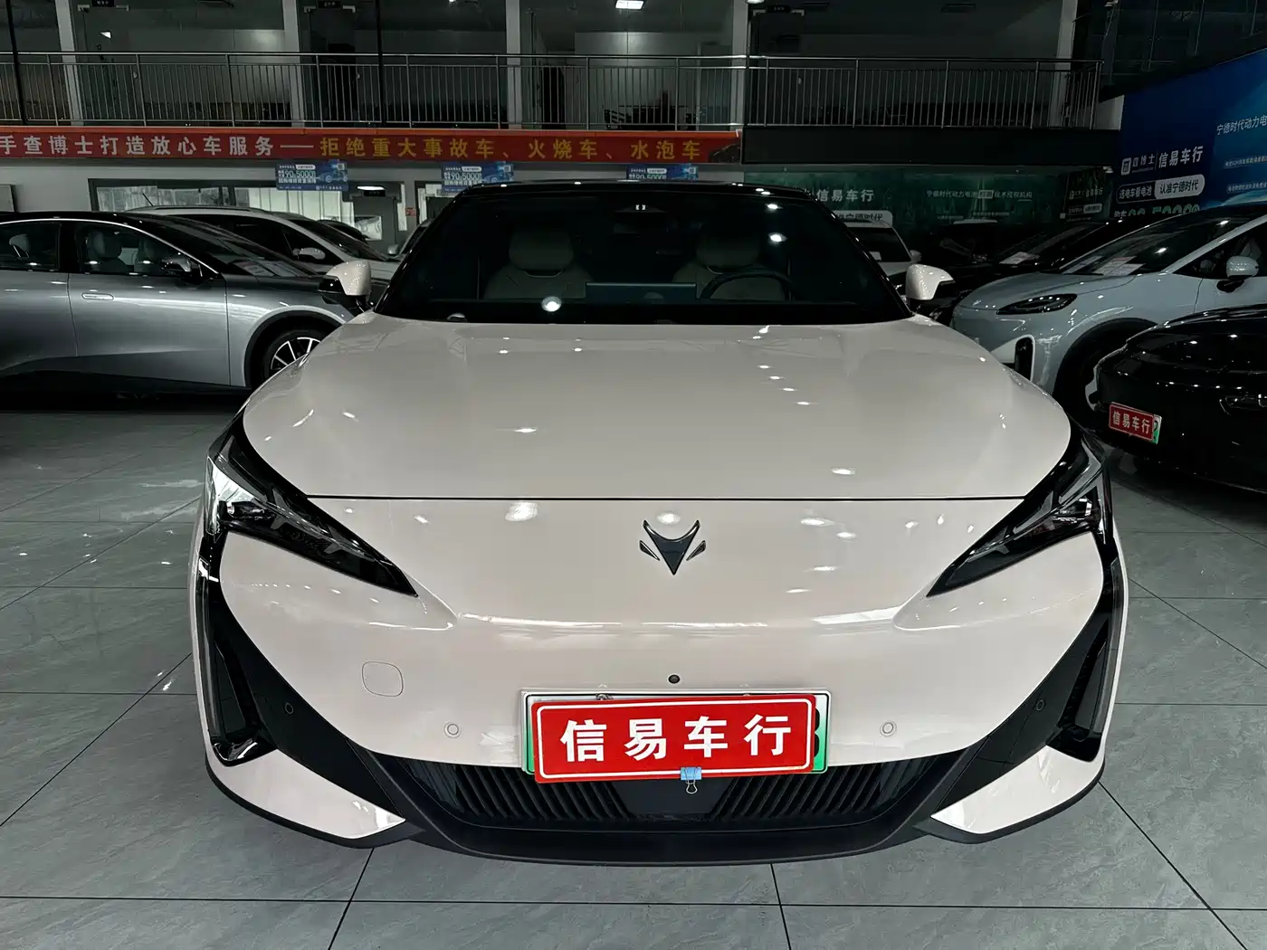 ARCFOX EXTREME FOX POLAR FOX ALPHA S5